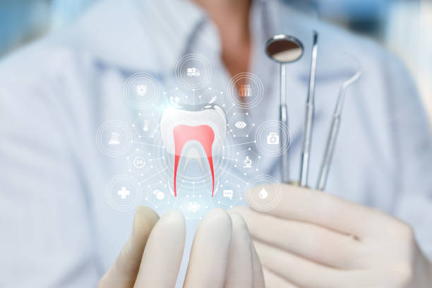 Best Preventive Dentistry  in Yuma, AZ